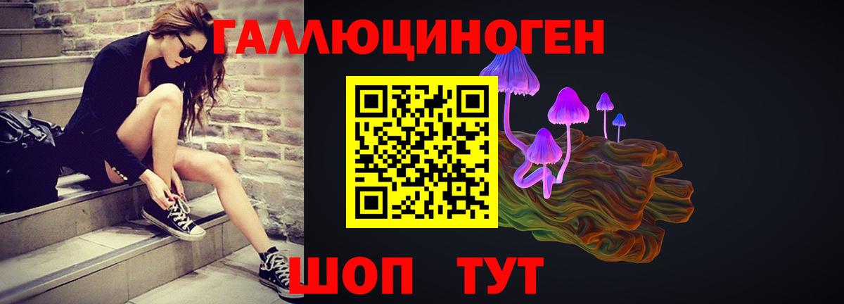 Галлюциногенные грибы Psilocybe Чехов